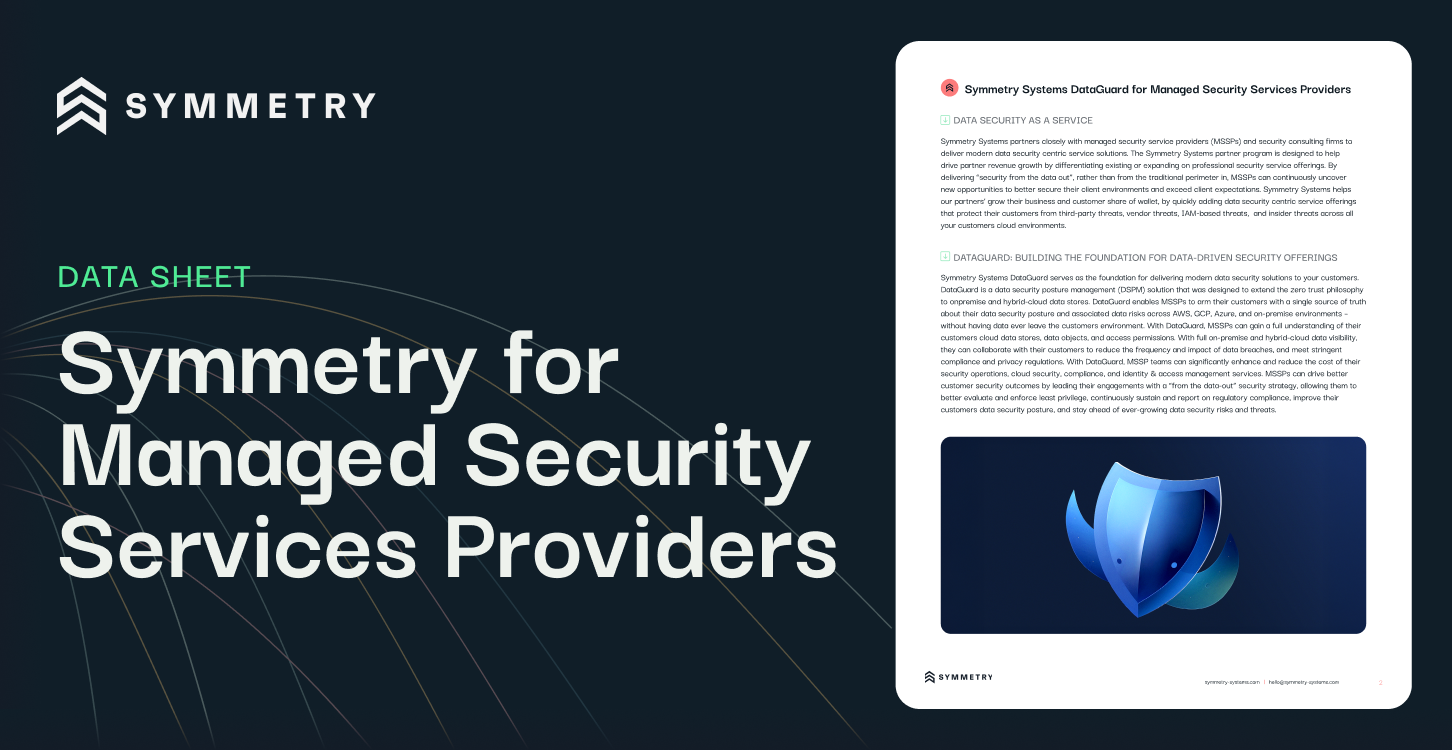 DS-3_ Symmetry for Managed Security Services Providers