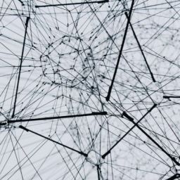 Black and white digital texture