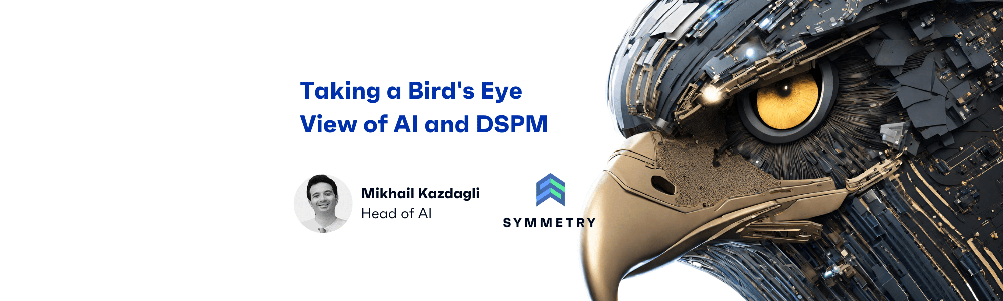 taking-a-birds-eye-view-of-ai-and-dspm