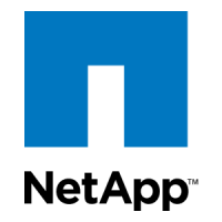 NetApp File Shares