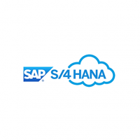 SAP Hana
