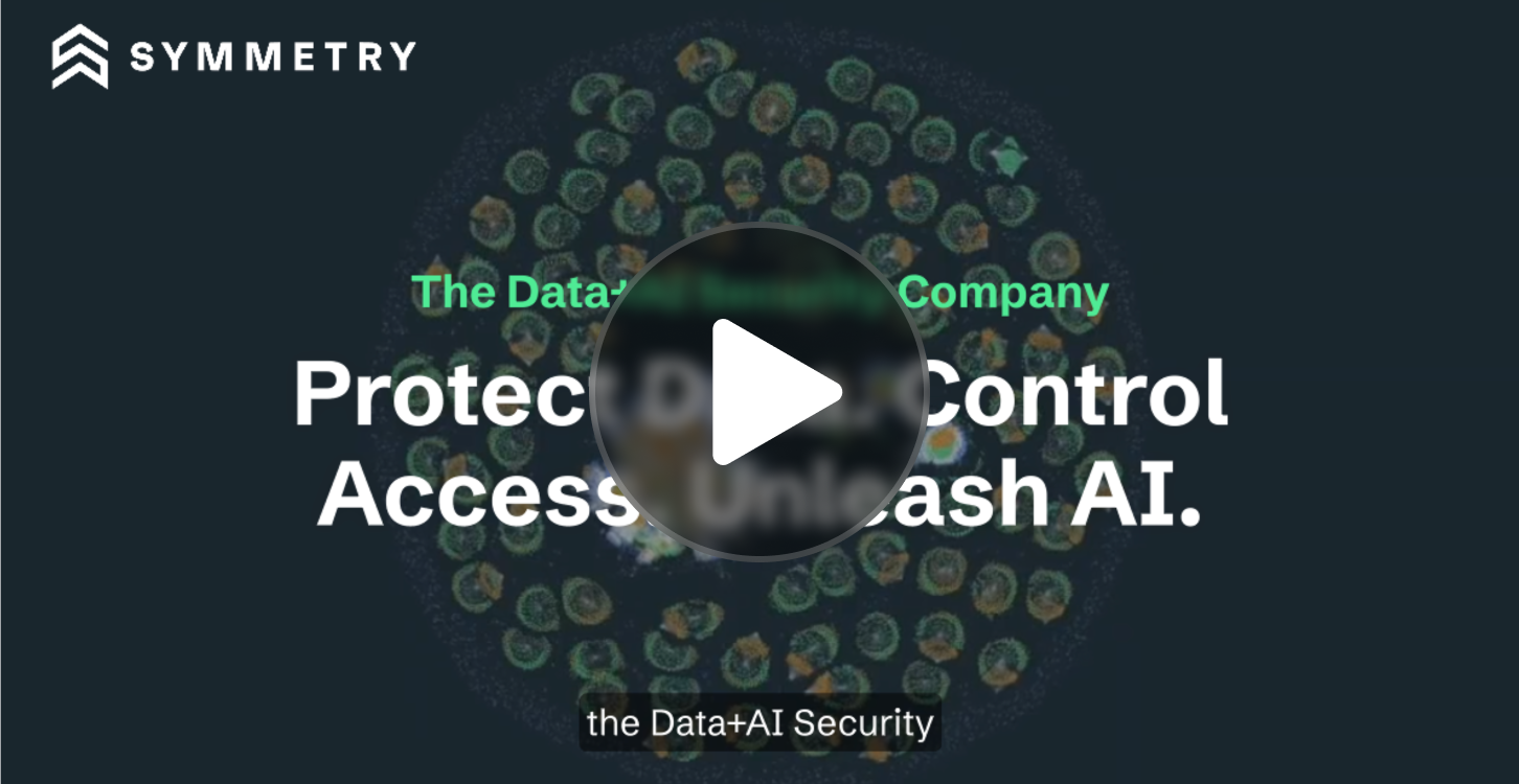 The Data + AI Security Platform Trusted by Fortune 500s _ Symmetry Systems
