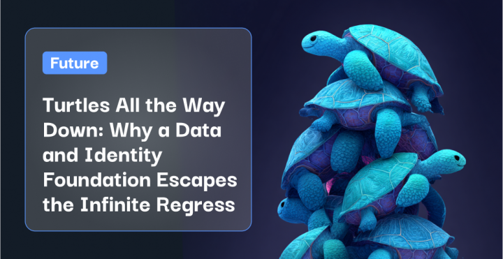 Turtles All the Way Down: Why a Data and Identity Foundation Escapes ...
