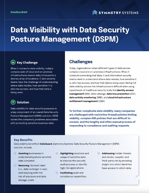 Symmetry Systems Resources Data Visibility with Data Security Posture Management (DSPM)