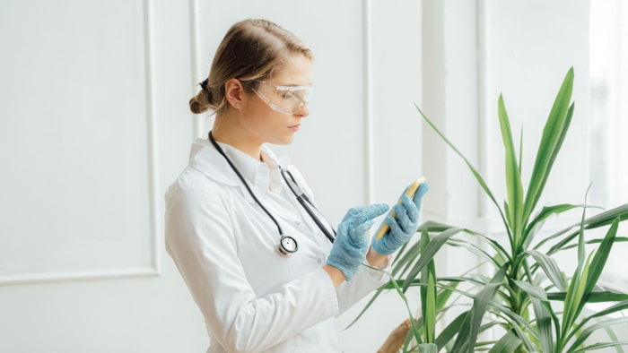 Female medical professional holding a cell phone standing by a plant